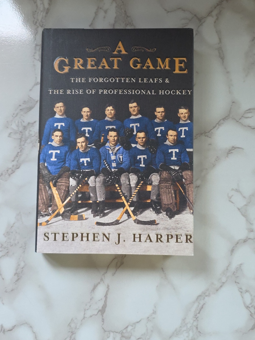 A Great Game: Forgotton Leafs 2013 Hardcover Book By S. J. Harper